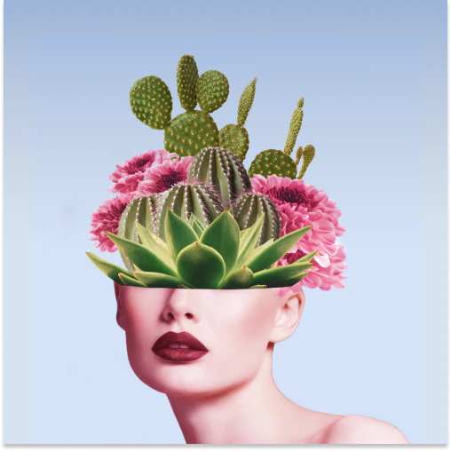 A collage of a woman with cactus in her head