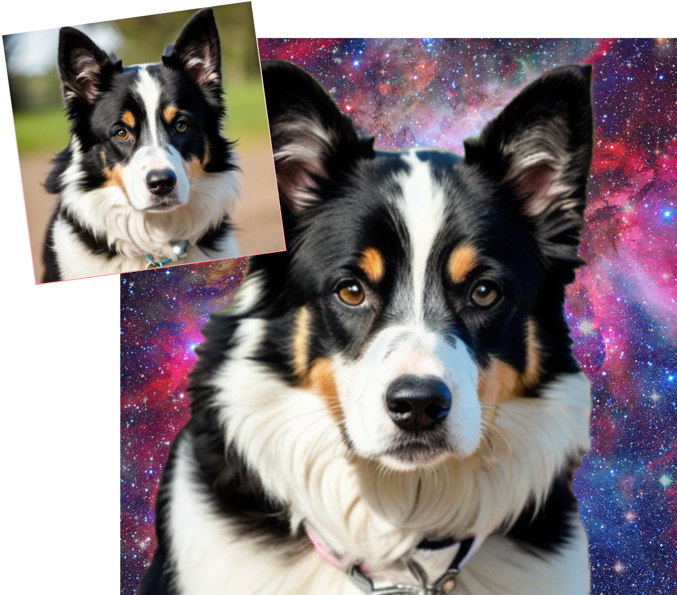 Replace your photo’s background with Photoleap