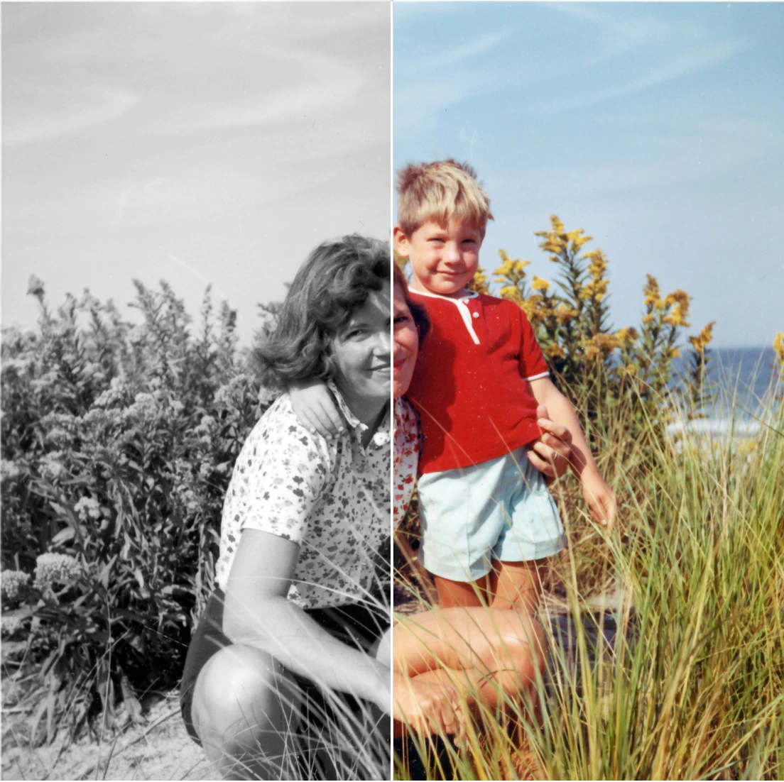 Use Photoleap’s AI to colorize photos