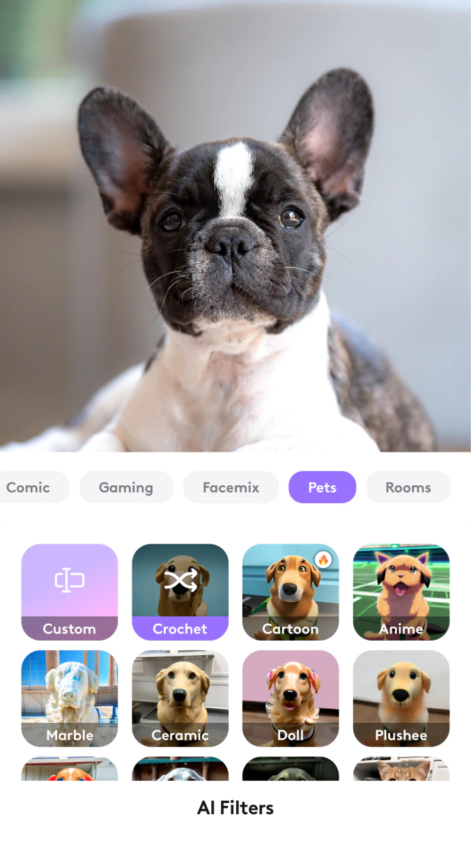 How to turn my pet photo into cartoon?
