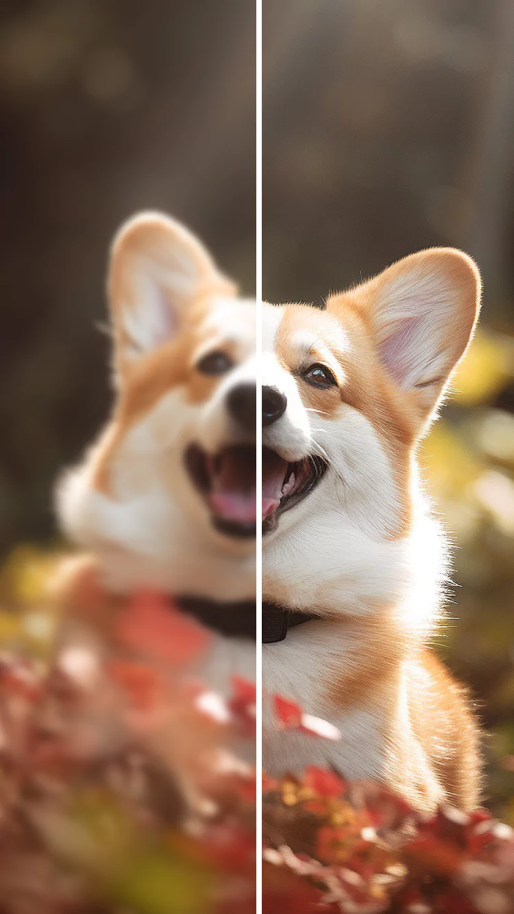 Upscale photo resolution with Photoleap