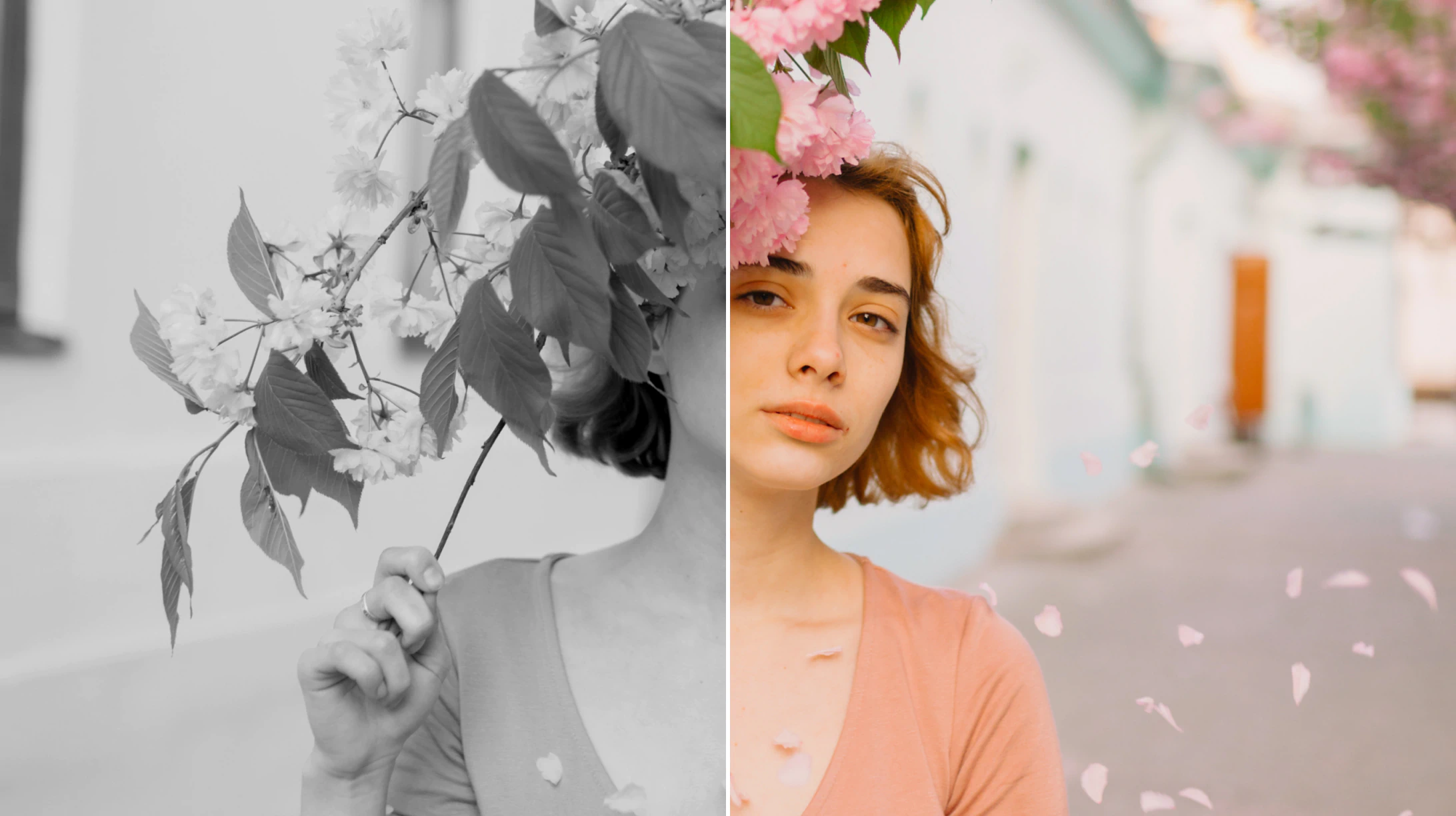 Learn how to colorize photos with AI